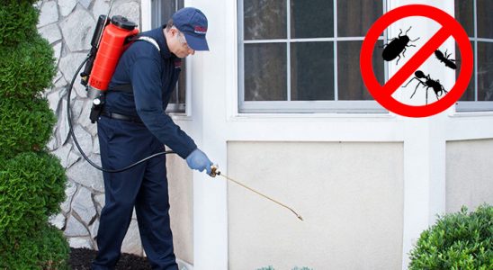 Gölova Hamam Böceği İlaçlama böcek ilaçlama ve haşere kontrolü — ilaclama-tr.com